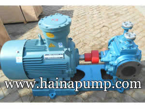 Heat insulating gear pump