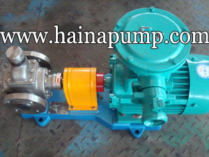 Y-series-External-gear-pumps-with-motor-driver